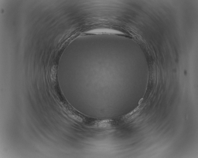 X0000067350078200604131801