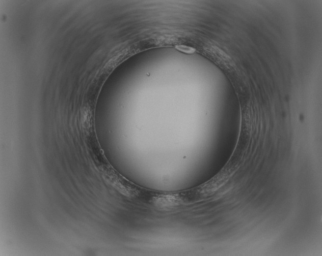 X0000067350079200604131801