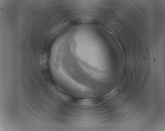 X0000067350082200604131801