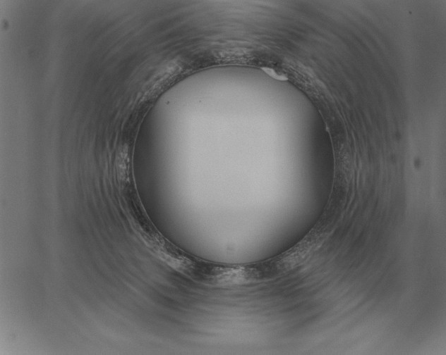 X0000067350083200604131801