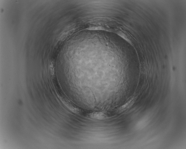 X0000067350086200604131801