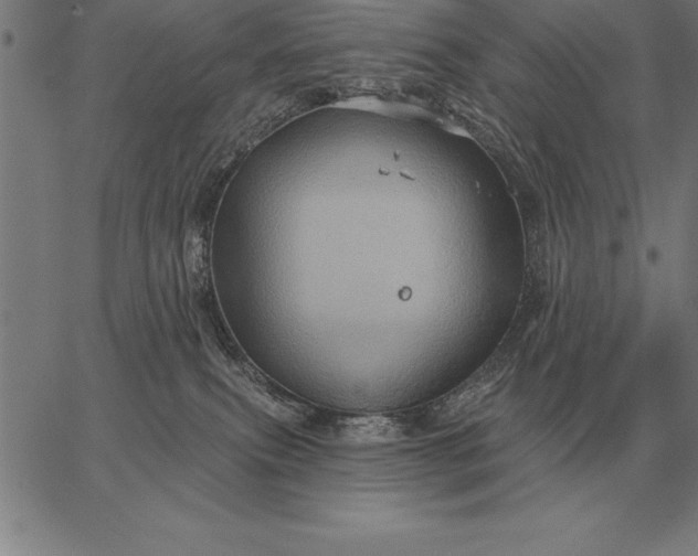 X0000067350087200604131801