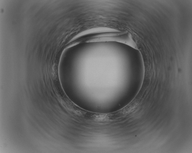 X0000067350088200604131801