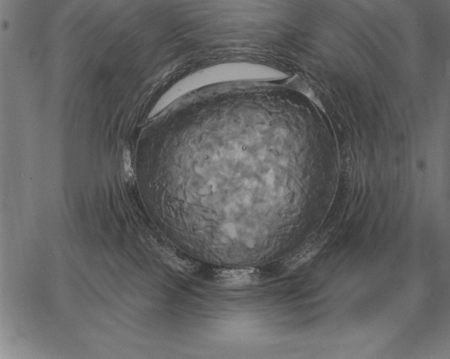 X0000067350089200604131801