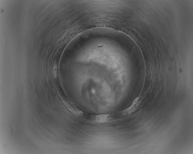 X0000067350090200604131801