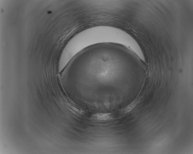 X0000067350093200604131801