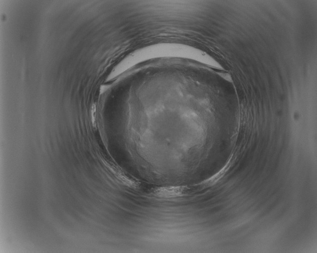 X0000067350094200604131801