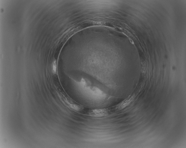 X0000067350095200604131801