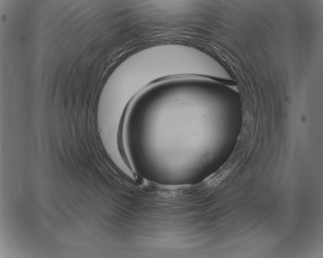 X0000067350096200604131801