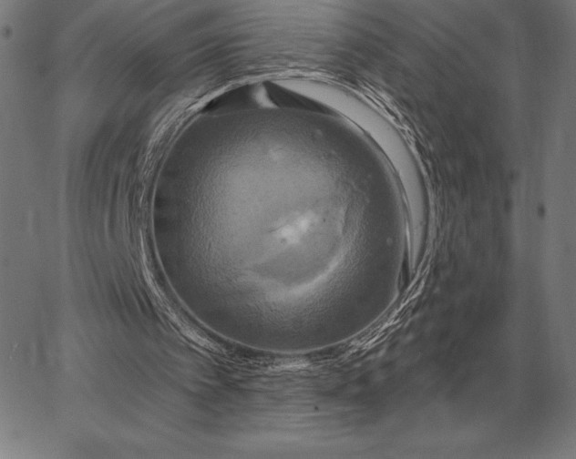 X0000067350097200604131801