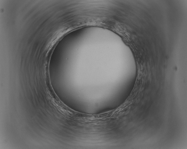 X0000067350098200604131801