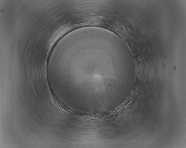 X0000067350100200604131801