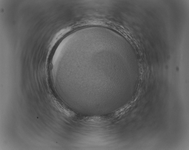 X0000067350104200604131800