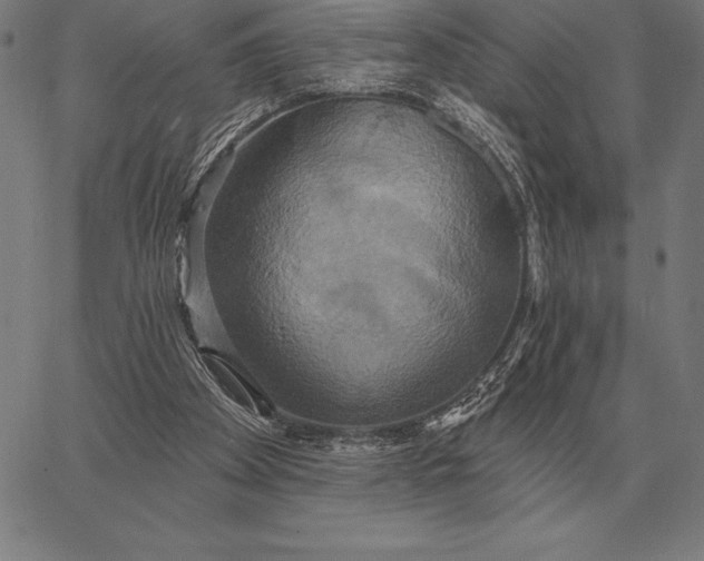 X0000067350105200604131800