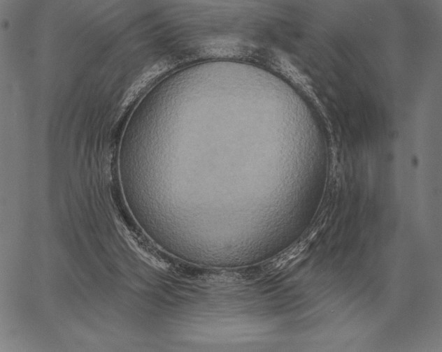 X0000067350106200604131800