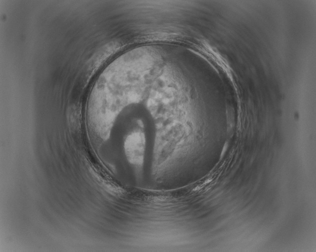 X0000067350107200604131800