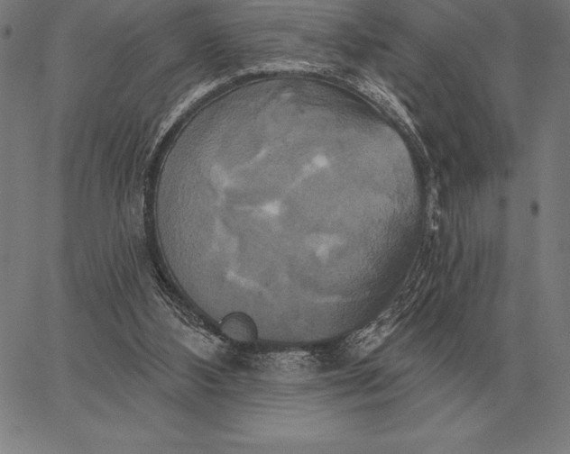 X0000067350108200604131800