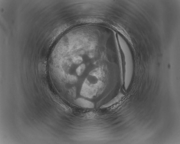 X0000067350111200604131800