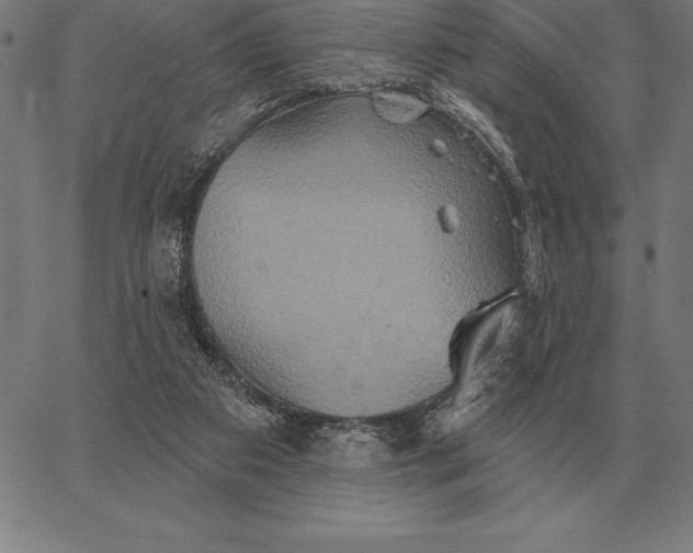 X0000067350113200604131800