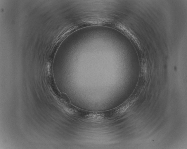 X0000067350117200604131800