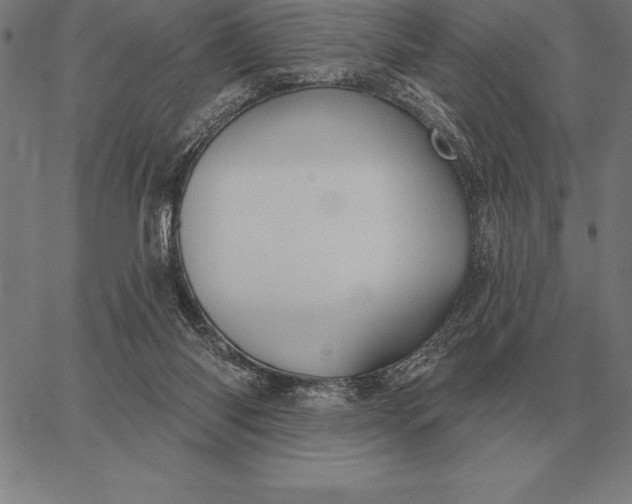 X0000067350118200604131800