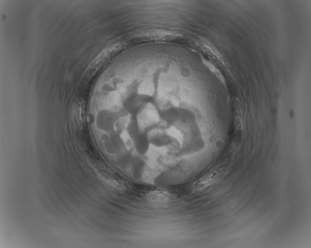 X0000067350119200604131800