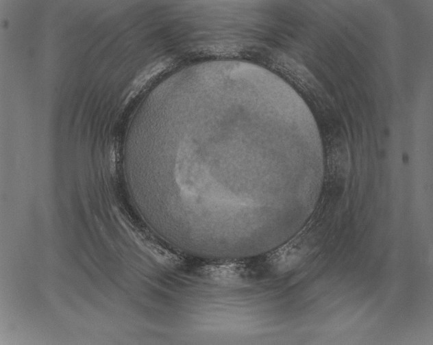 X0000067350120200604131800