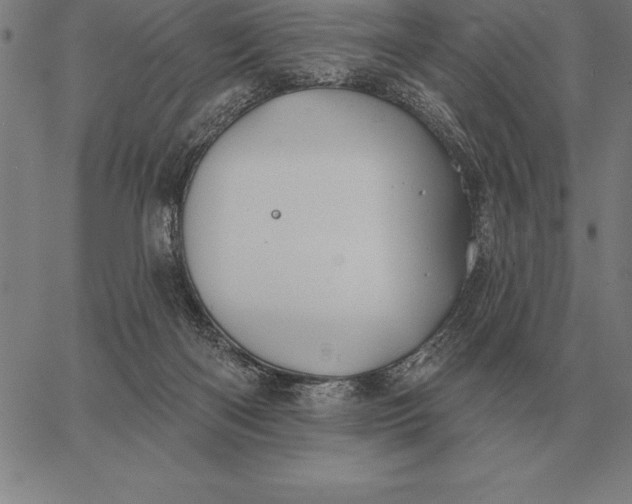 X0000067350122200604131800