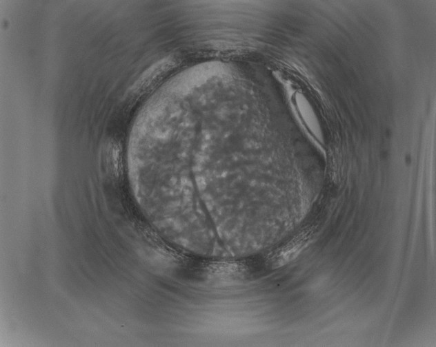 X0000067350123200604131800