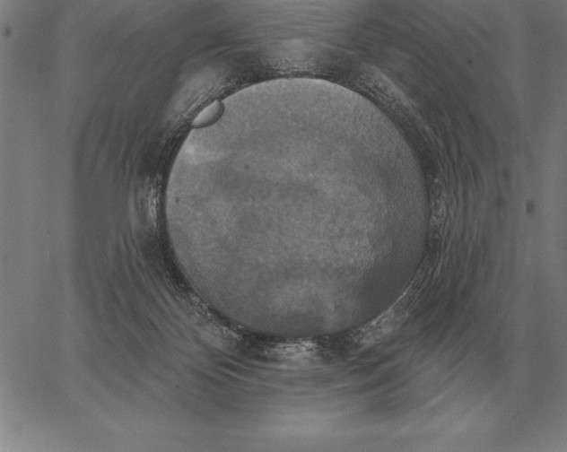 X0000067350124200604131800