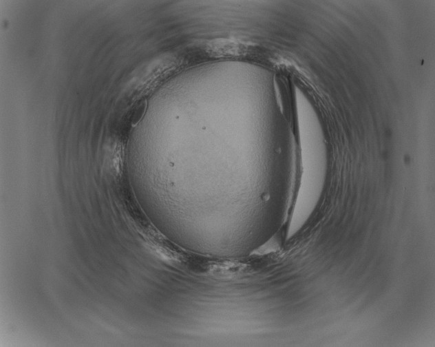 X0000067350125200604131800