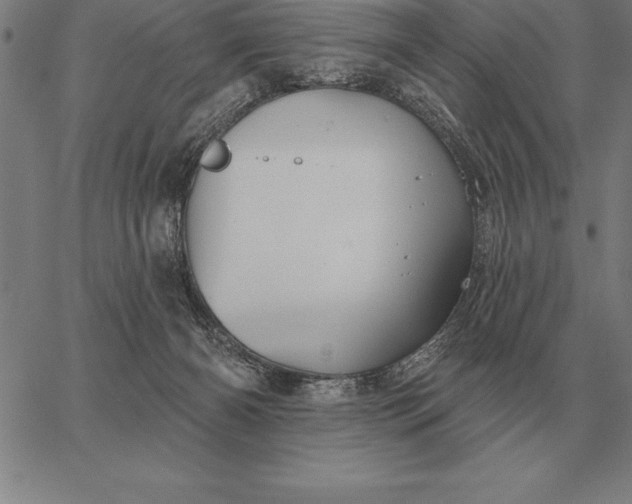 X0000067350126200604131800