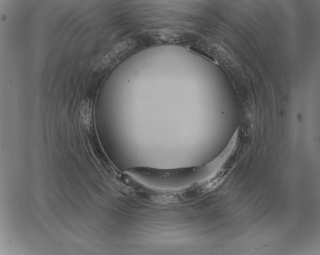 X0000067350129200604131800