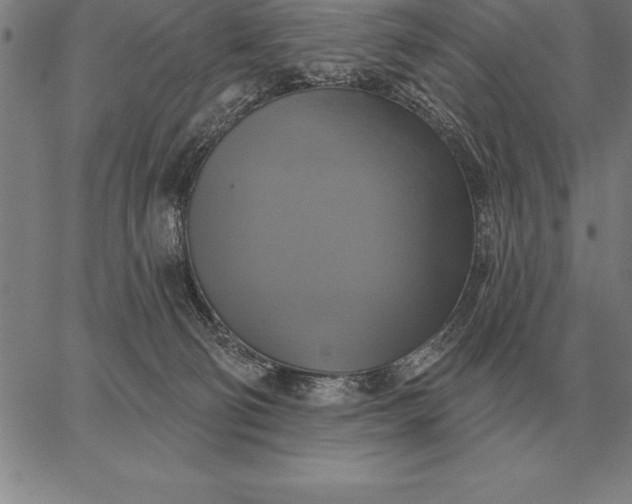 X0000067350130200604131800