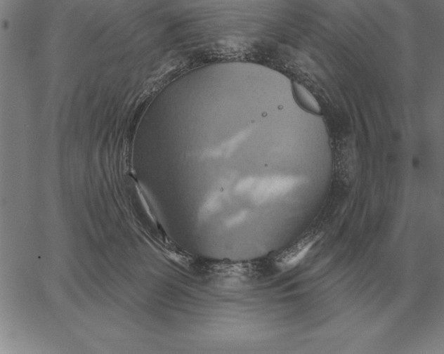 X0000067350131200604131800