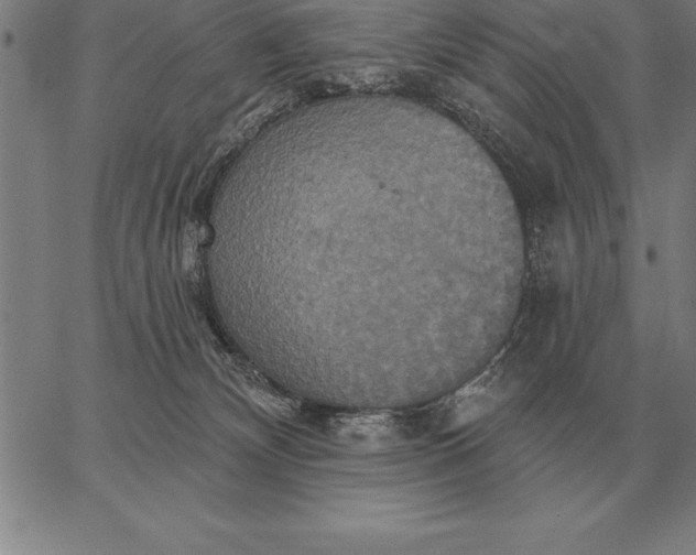 X0000067350132200604131800