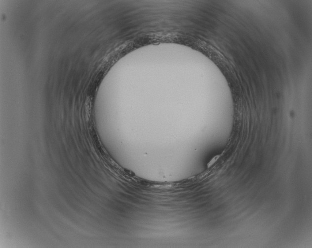 X0000067350133200604131800