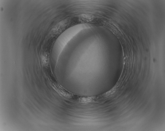 X0000067350134200604131800