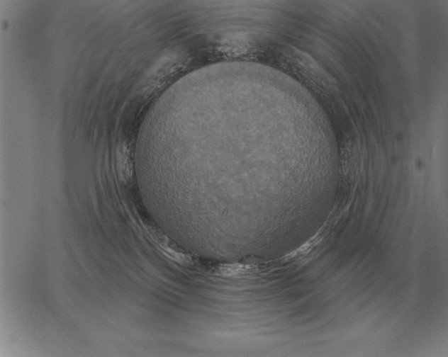 X0000067350136200604131800