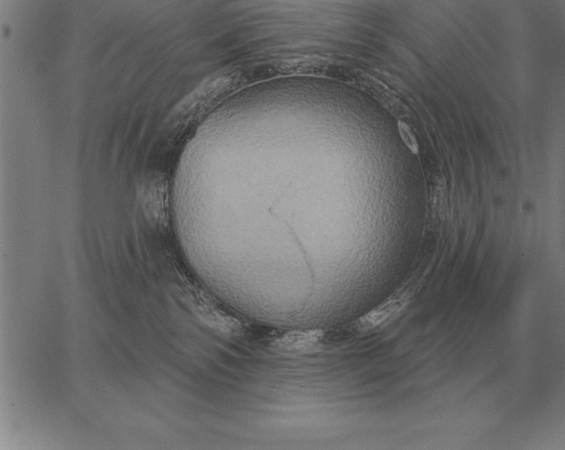 X0000067350138200604131800