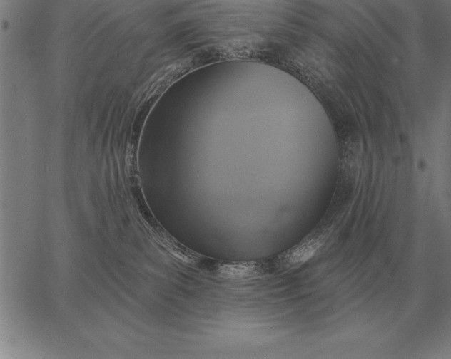 X0000067350139200604131800