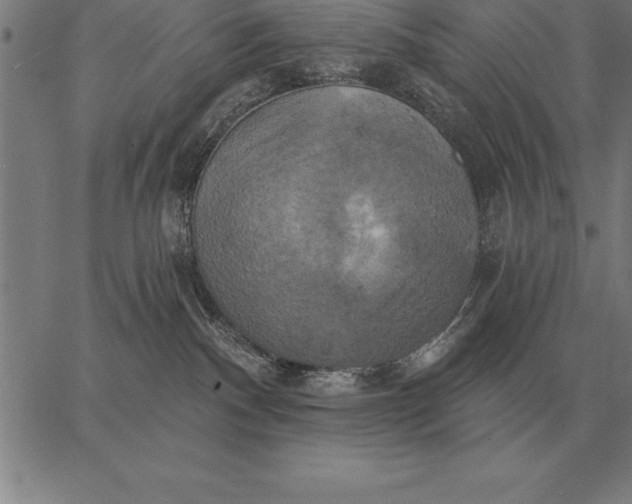 X0000067350140200604131800