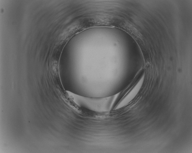 X0000067350141200604131800