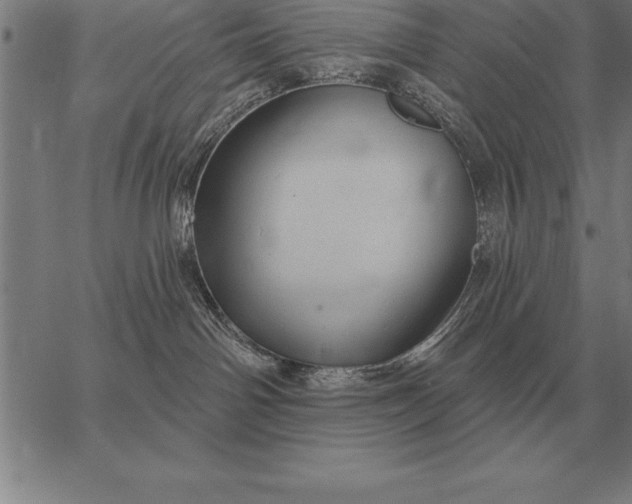 X0000067350142200604131800