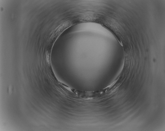 X0000067350143200604131800