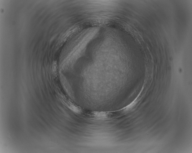 X0000067350144200604131800