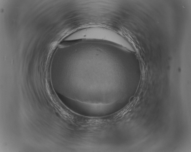 X0000067350145200604131759