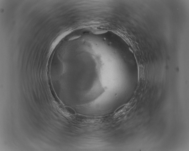 X0000067350147200604131759