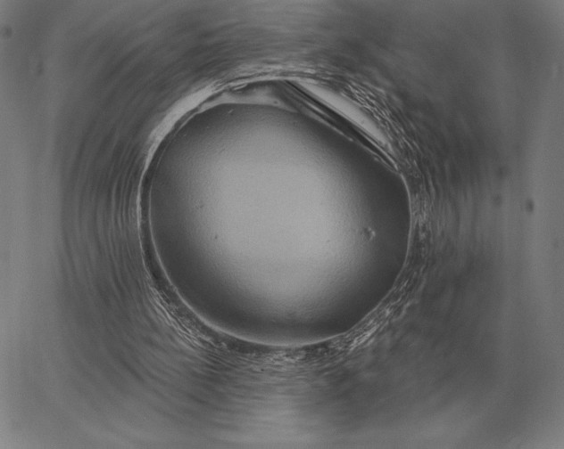 X0000067350148200604131759