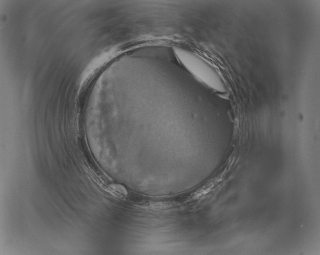 X0000067350149200604131759